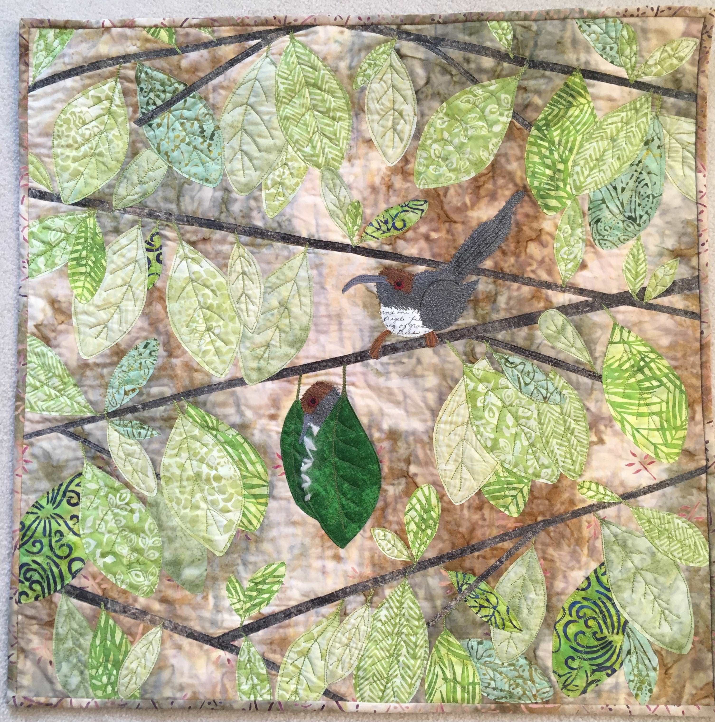 long billed tailorbird sue graham