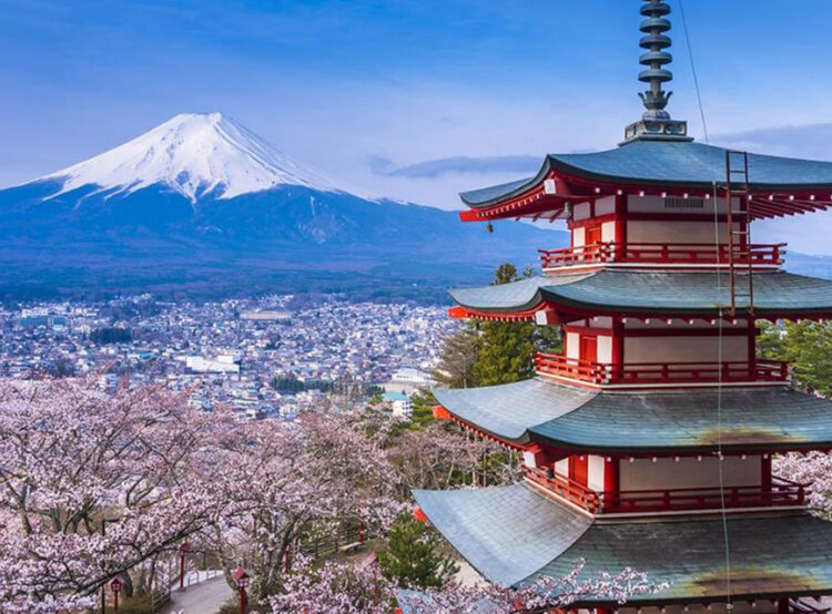 susan cleveland japan trip mount fuji