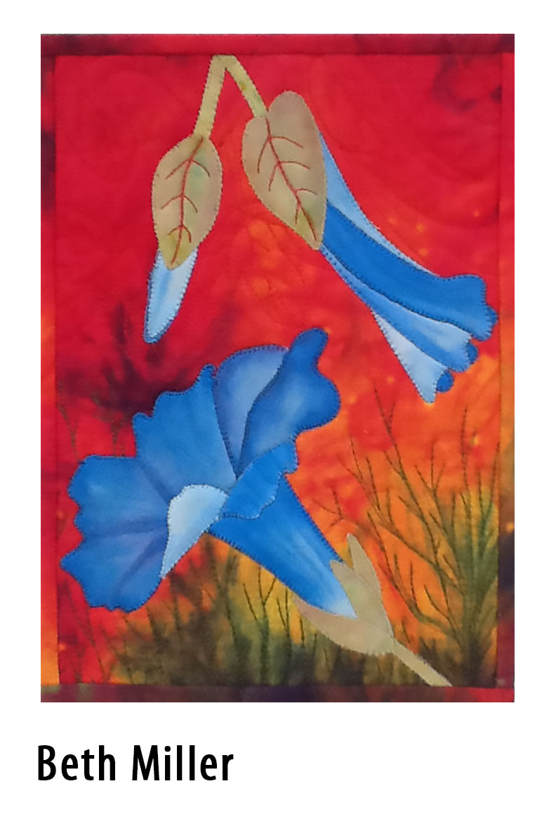 beth miller morning glory