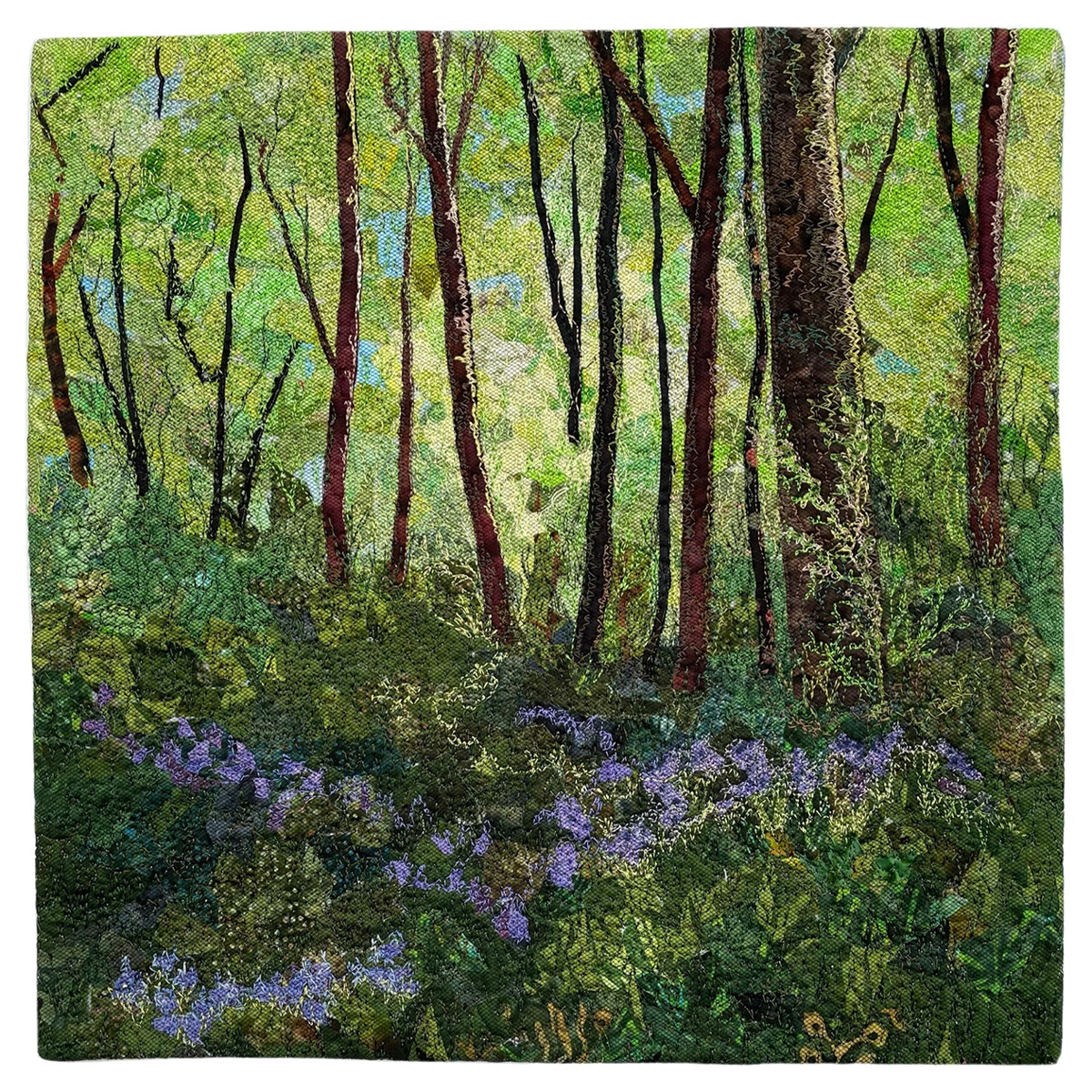 bluebells in corrig wood ethelda ellis erasmus