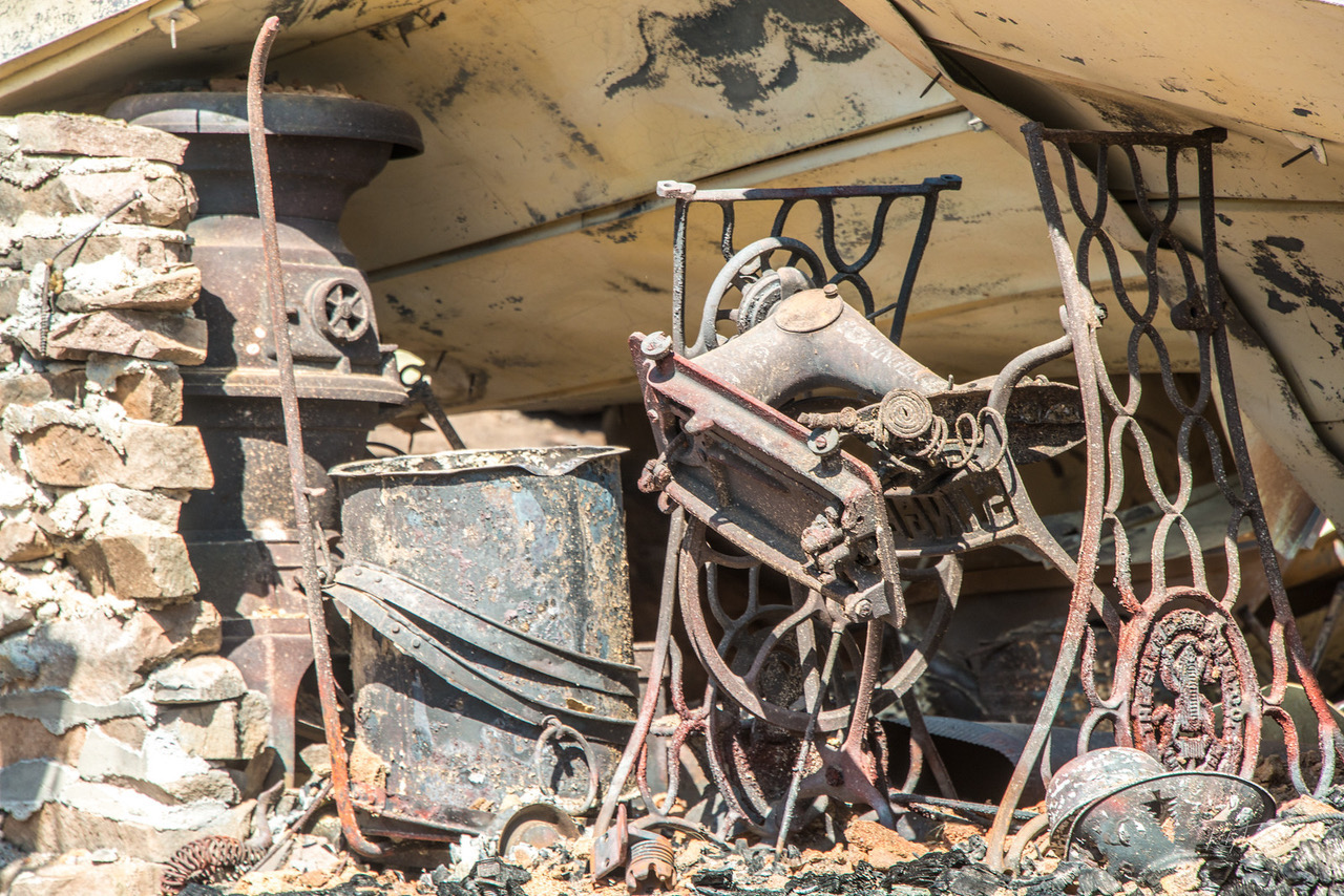 bertie marie after fire