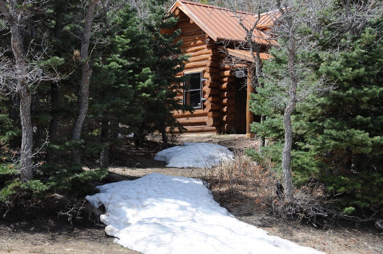 bertie marie log cabin