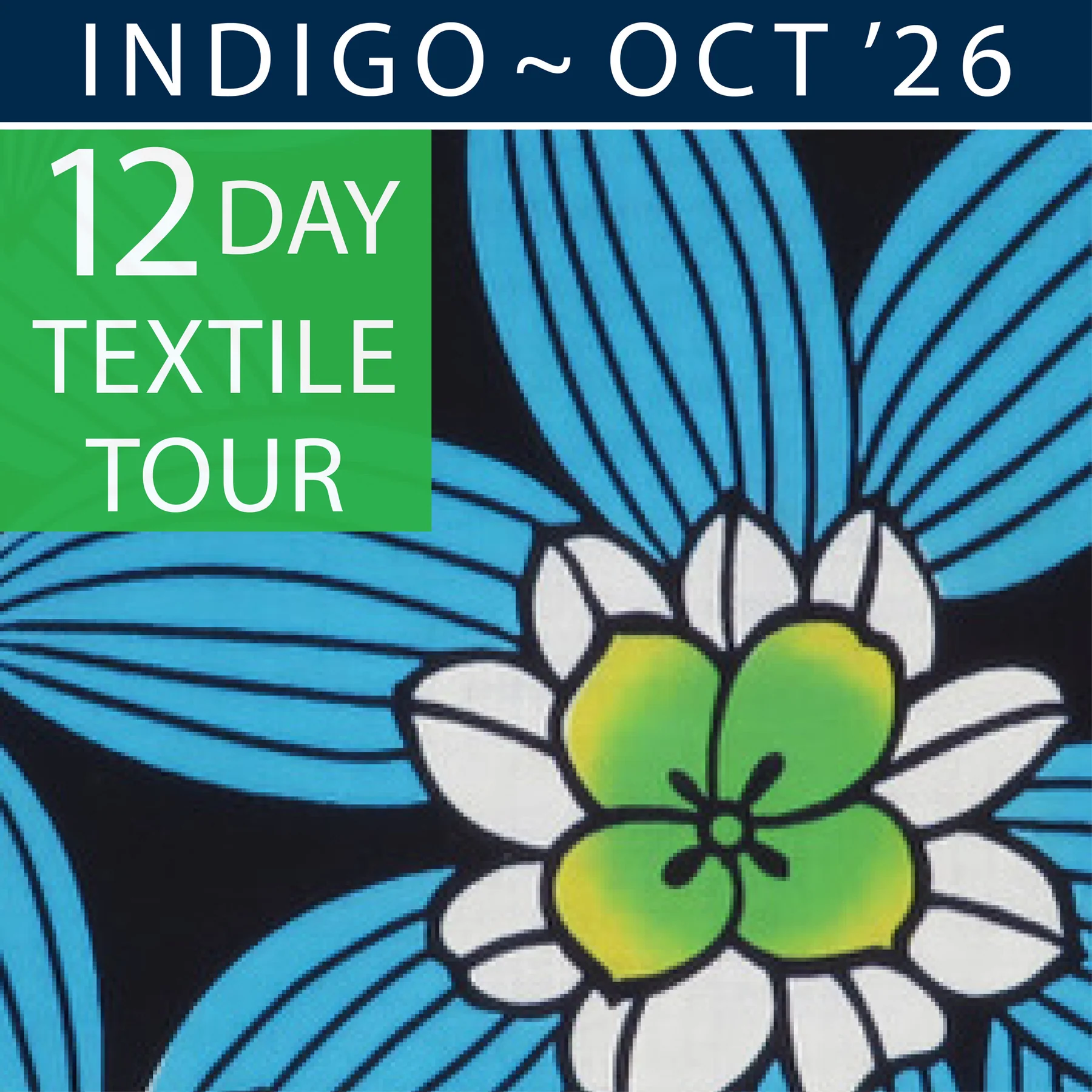 blue-japan-indigo-tour-october-2026.jpg