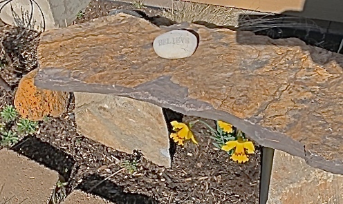 Anna's Bench