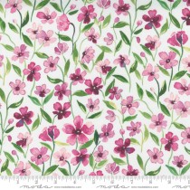 Fresh As A Daisy 8497 12 Cloud Petal 