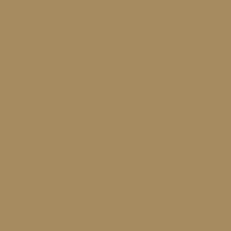 Century Solids CS-10 Cafeaulait
