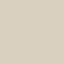 Century Solids CS-10 Champagne