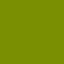 Century Solids CS-10 Guacamole