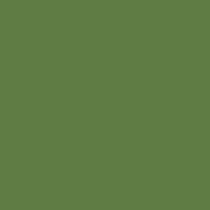 Century Solids CS-10 Leaf
