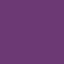 Century Solids CS-10 Plum
