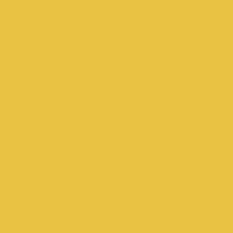 Century Solids CS-10 Saffron