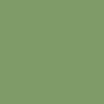 Century Solids CS-10 Sage